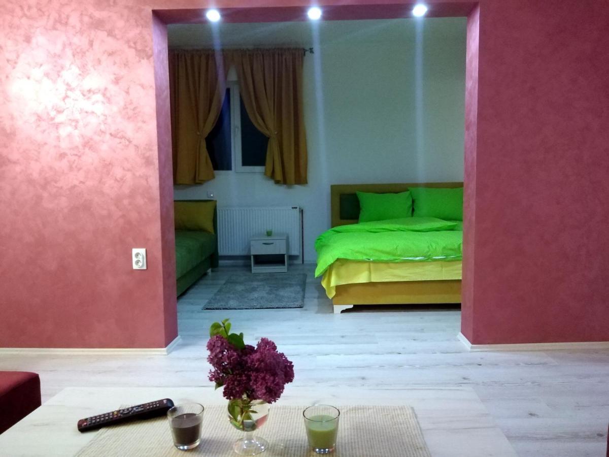 Rudno Apartments Vila Selena - Golija מראה חיצוני תמונה