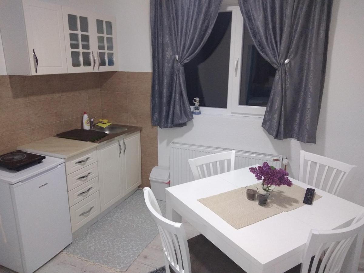 Rudno Apartments Vila Selena - Golija מראה חיצוני תמונה